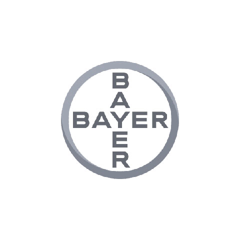 Referenzen - Bayer