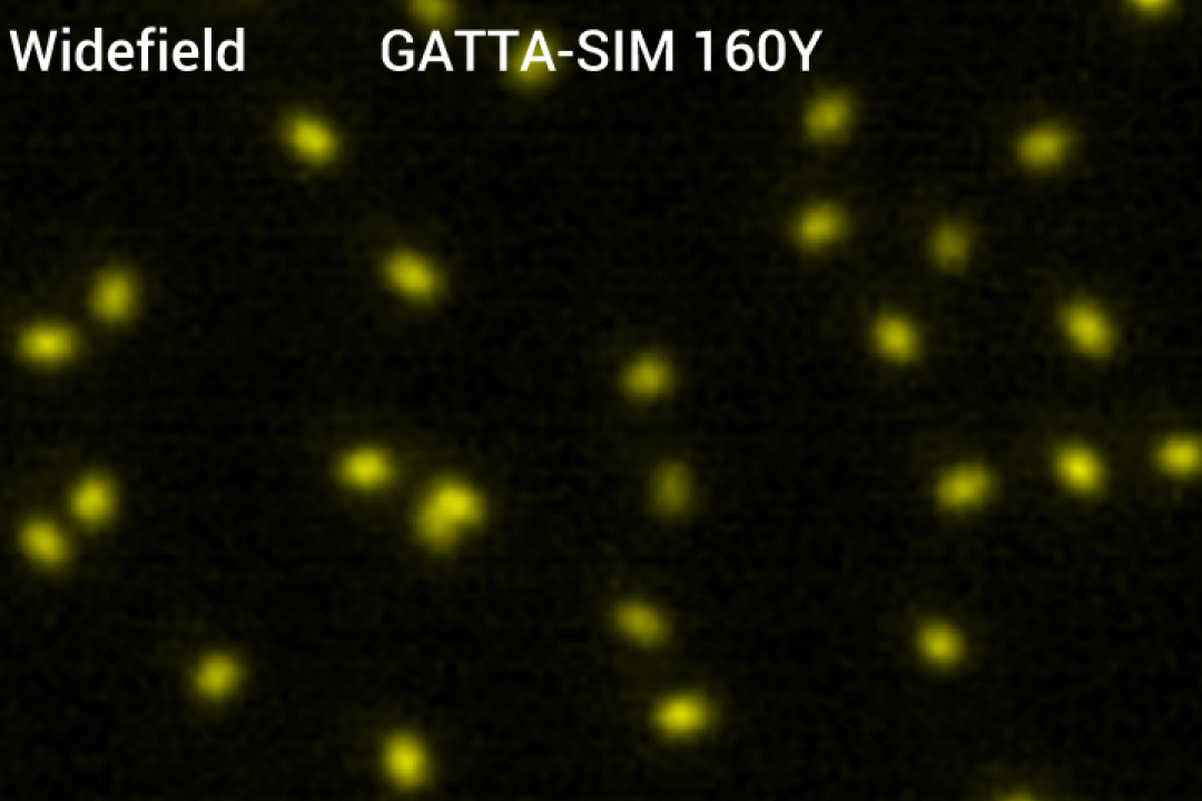  GATTA-SIM 纳米标尺