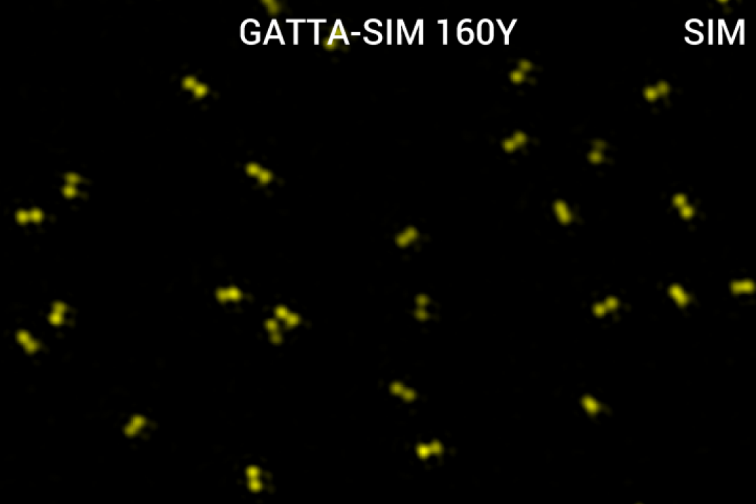  GATTA-SIM 纳米标尺