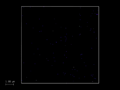 GATTAquant_647N_deconv_MIP_STED_640x480-small.gif