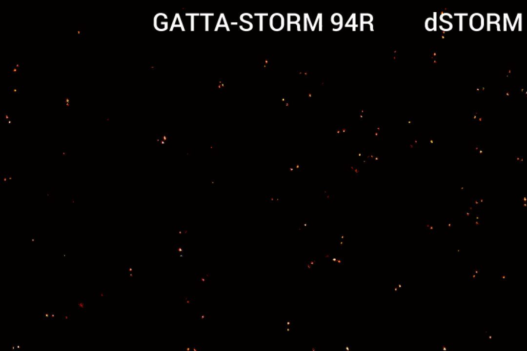 GATTA-STORM 系列纳米标尺