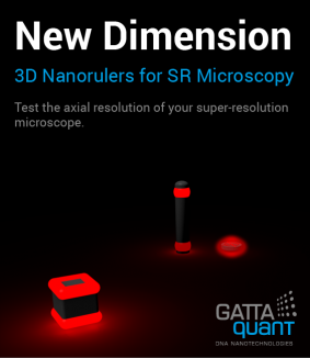 3D Nanorulers for SR Microscopy