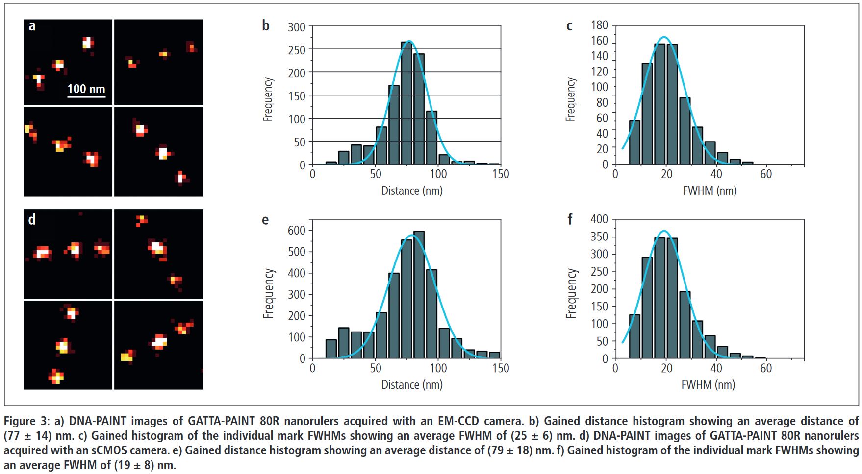 Figure 3 DNA PAINT 80R Nanoruler.JPG Figure 3 DNA PAINT 80R Nanoruler.JPG