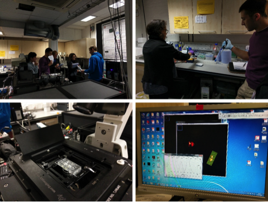 LAG workshop LAG workshop