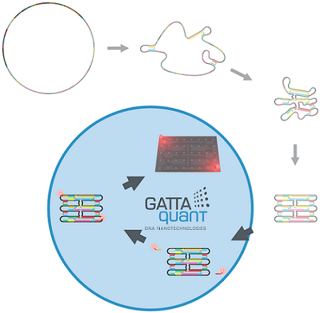 DNA Innovation Origami^ DNA Innovation Origami^
