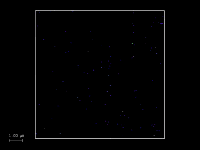 GATTAquant_647N_deconv_MIP_STED_640x480-small.gif GATTAquant_647N_deconv_MIP_STED_640x480-small.gif