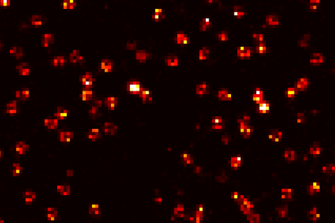  GATTA-Cells 1C