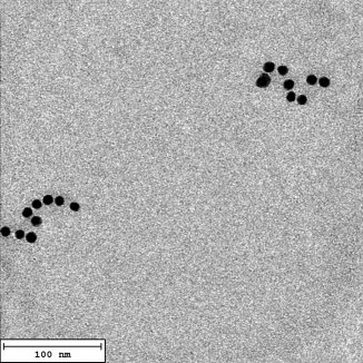 Gold Nanohelices (L/R)