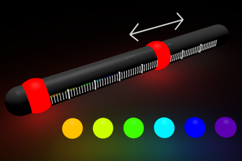 Custom Nanoruler