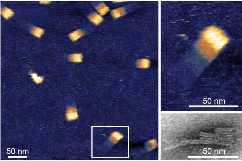 GATTA-AFM 3D Nanoruler