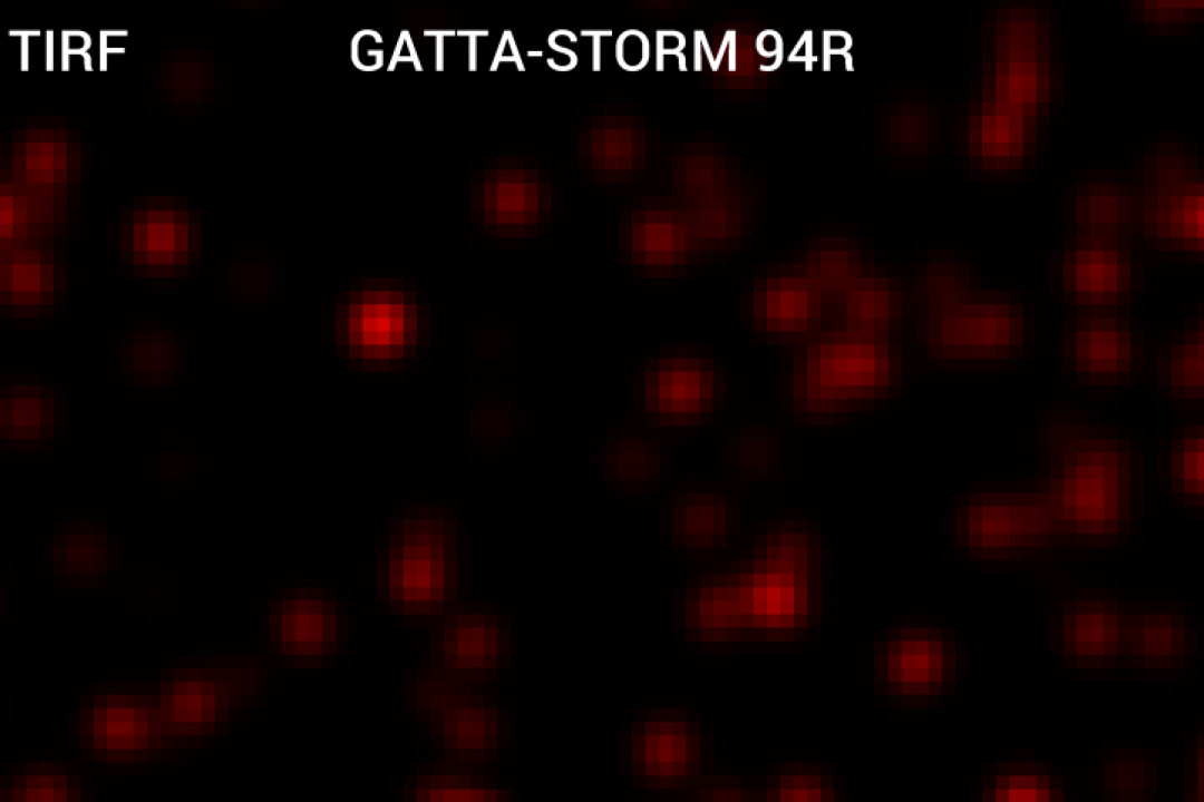 GATTA-STORM 系列纳米标尺