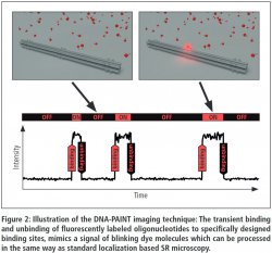 Hammatsu Tech Note Figure 2 - Paint Nanoruler technique.JPG
