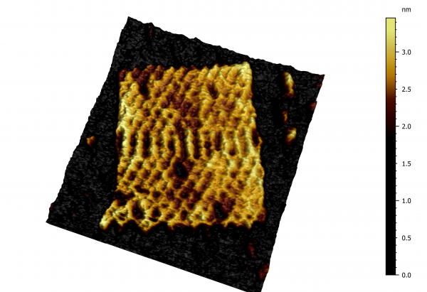 GATTA-AFM nanorulers imaged on DriveAFM in WaveMode in liquid environment. Image size 120 nm x 120 nm.
