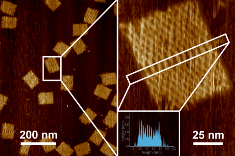 GATTA-AFM Nanoruler