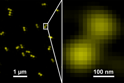  GATTA-SIM Nanoruler