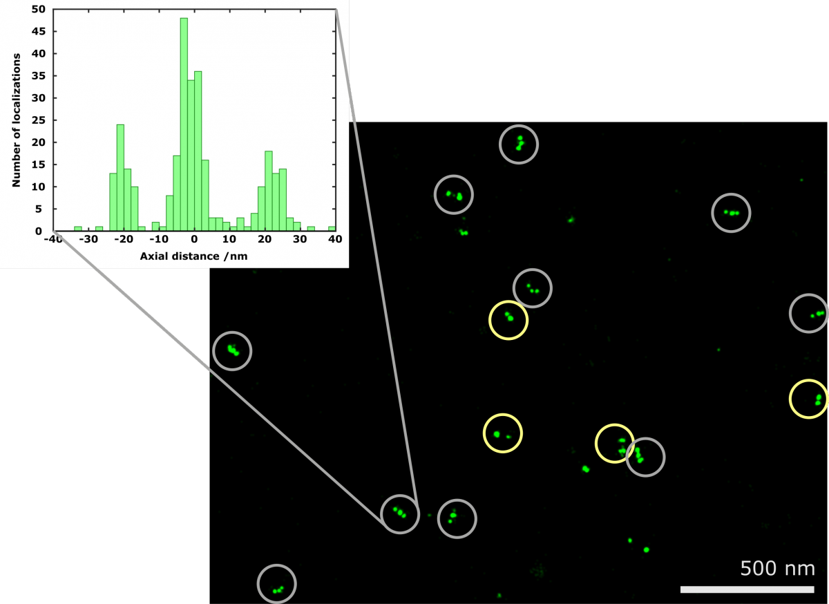 GATTA-PAINT 20RG Nanoruler for super-resolution imaging (ONI Nanoimager)