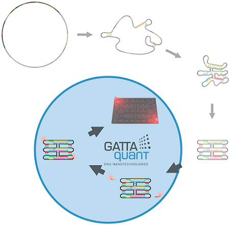 DNA Innovation Origami^